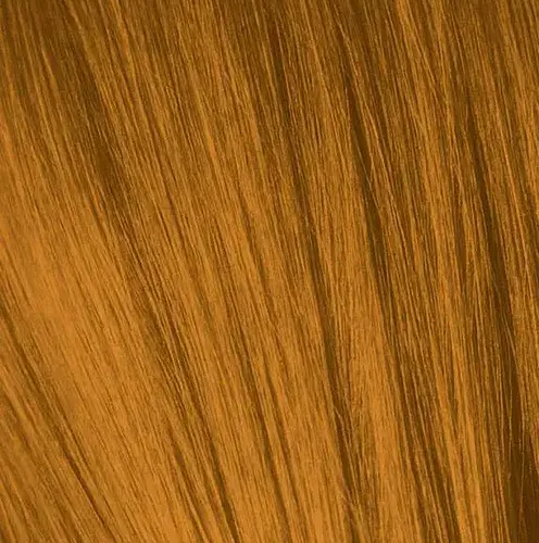 IGORA0_55