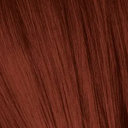 IGORA6_80