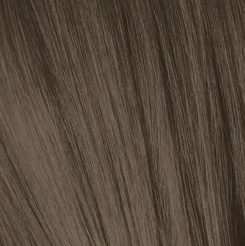IGORA7_1