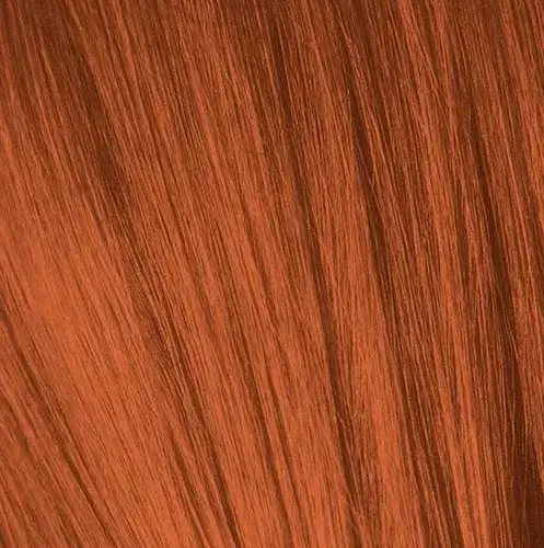 IGORA7_77