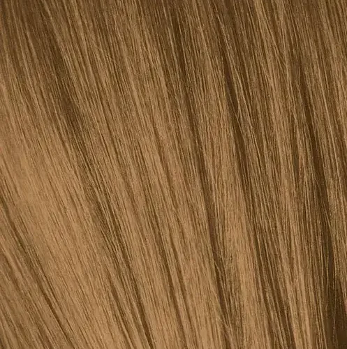 IGORA8_50