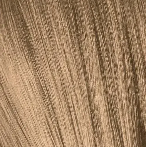 IGORA8_65