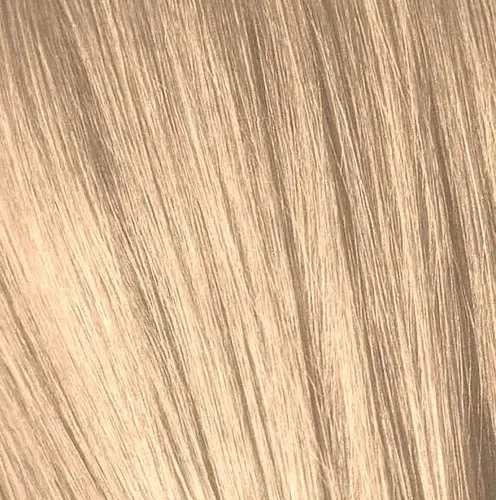 IGORA9,5_49