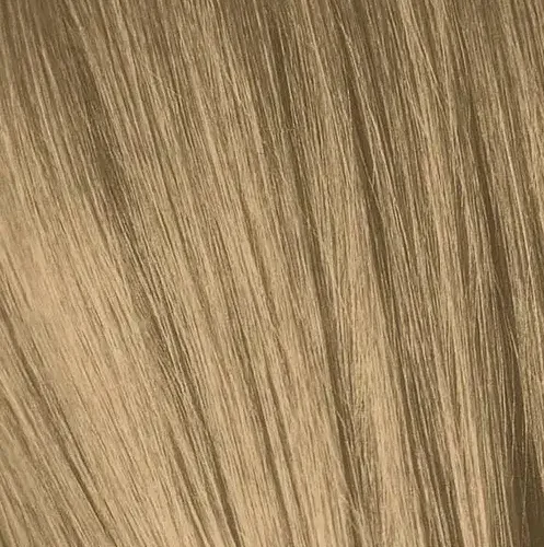 IGORA9_0
