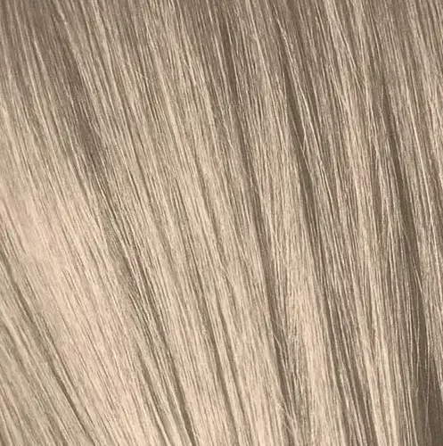 IGORA9_1