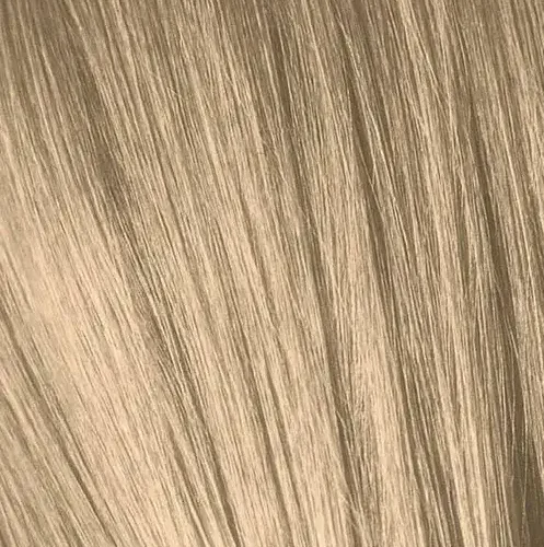 IGORA9_4