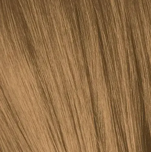 IGORA9_60