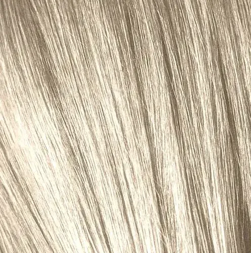 IGORA12_19